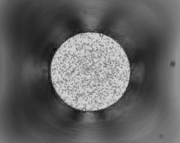X0000103910562200810311435
