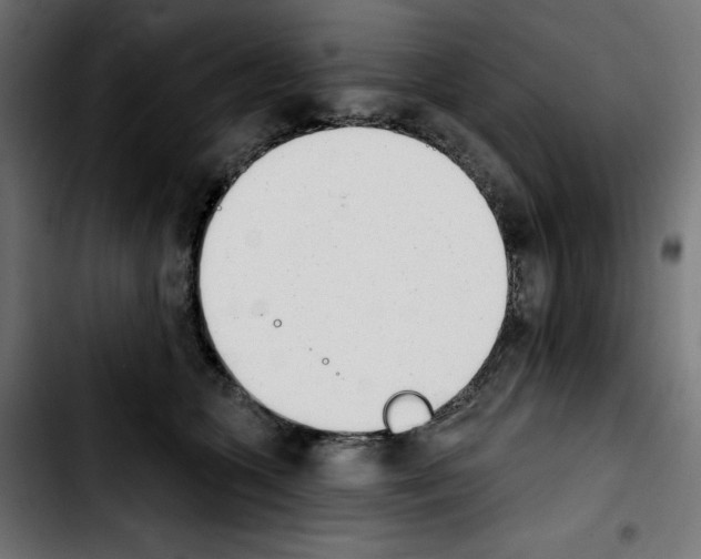 X0000103910563200810311435