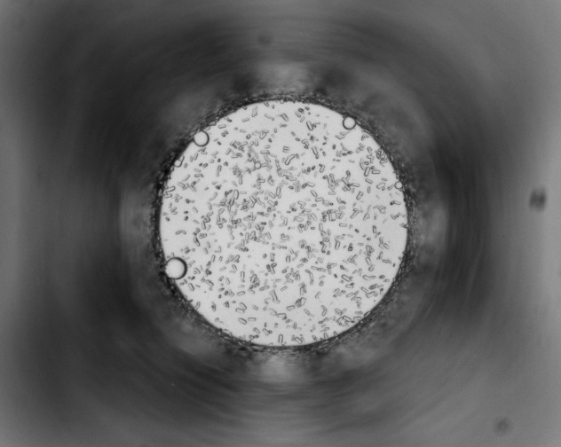 X0000103910564200810311435