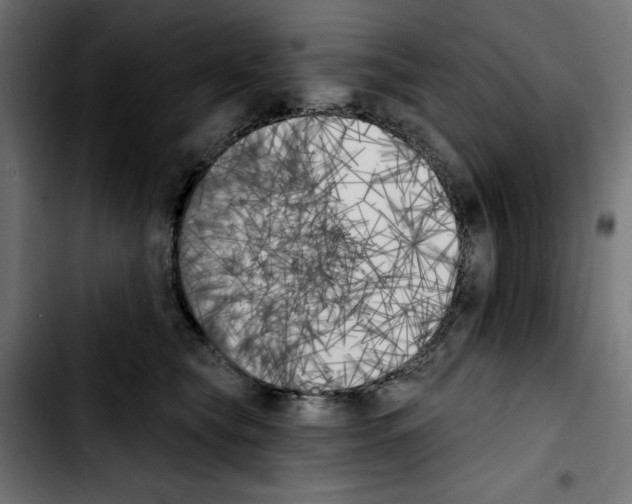 X0000103910565200810311435