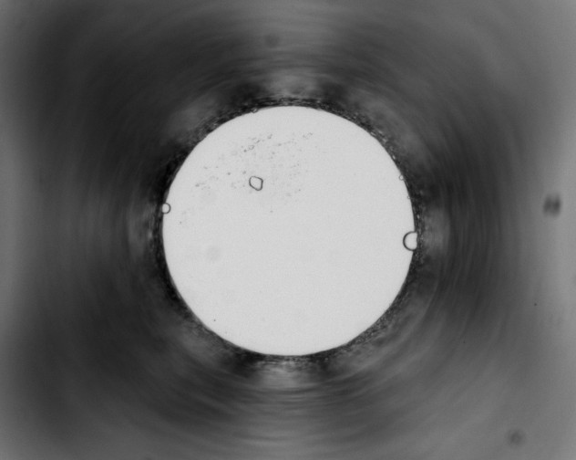 X0000103910567200810311435