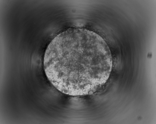 X0000103910568200810311435