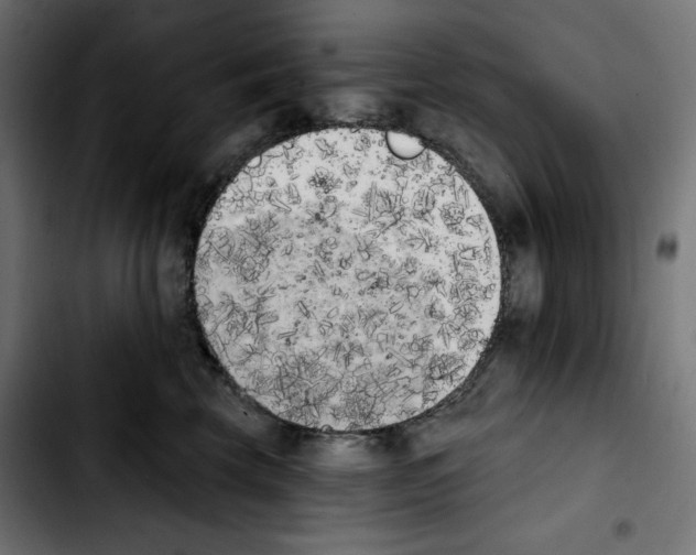 X0000103910569200810311435