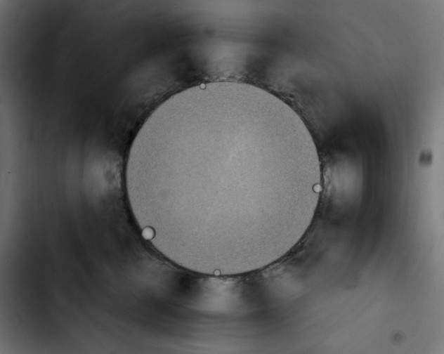 X0000103910570200810311435