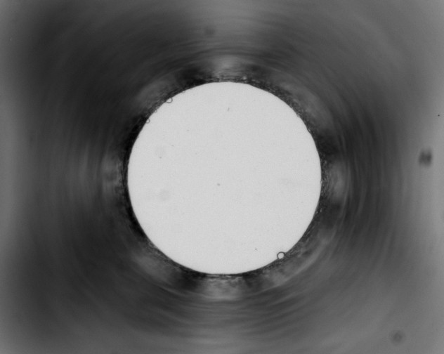 X0000103910571200810311435