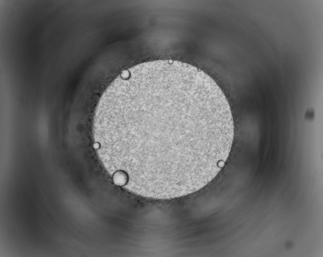X0000103910572200810311435