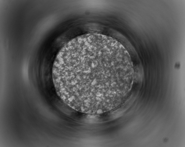 X0000103910573200810311435