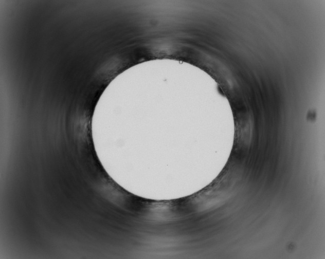 X0000103910574200810311435