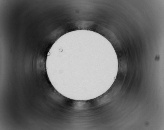 X0000103910575200810311435