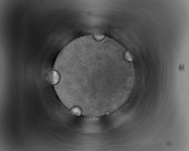 X0000103910576200810311435