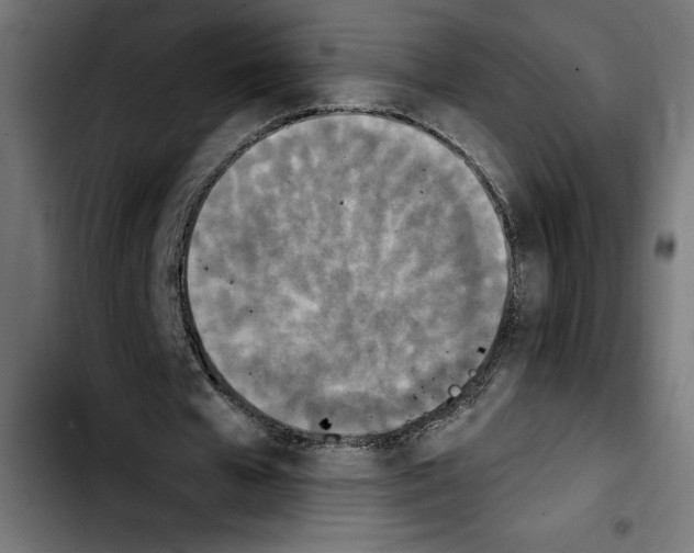 X0000103910577200810311434