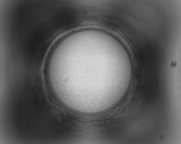 X0000103910579200810311434