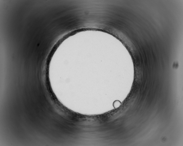 X0000103910580200810311434