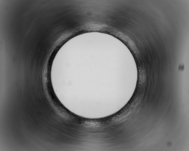 X0000103910582200810311434
