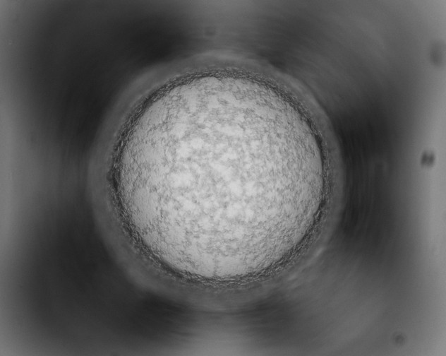 X0000103910583200810311434