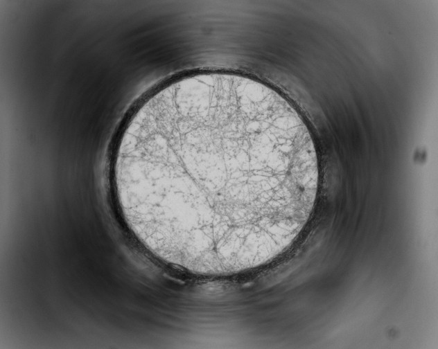 X0000103910584200810311434