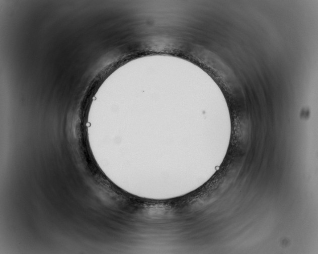 X0000103910587200810311434