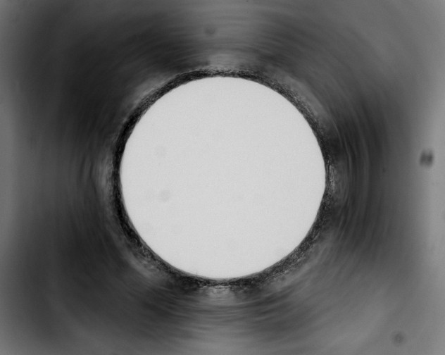 X0000103910588200810311434