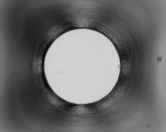 X0000103910589200810311434