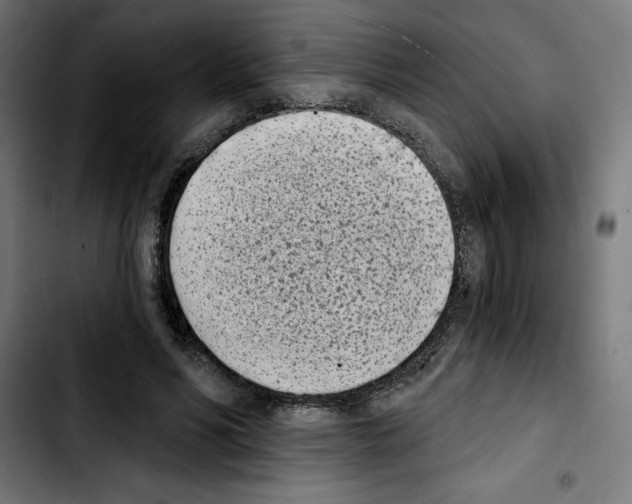 X0000103910590200810311434