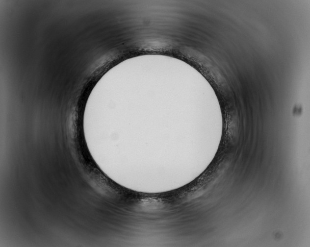 X0000103910591200810311434
