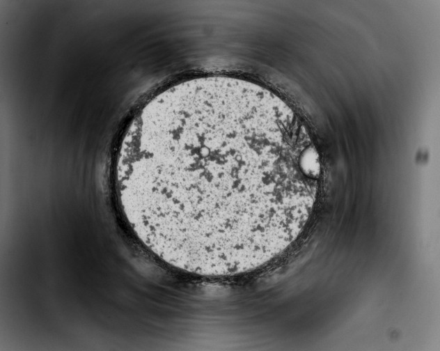 X0000103910592200810311434