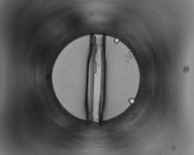X0000103910593200810311434