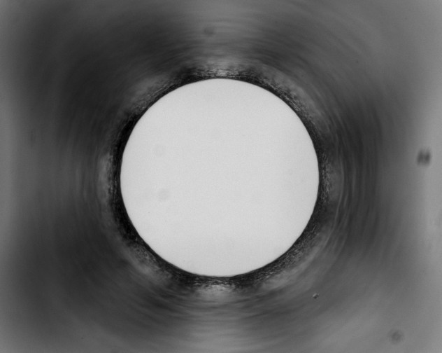 X0000103910594200810311434