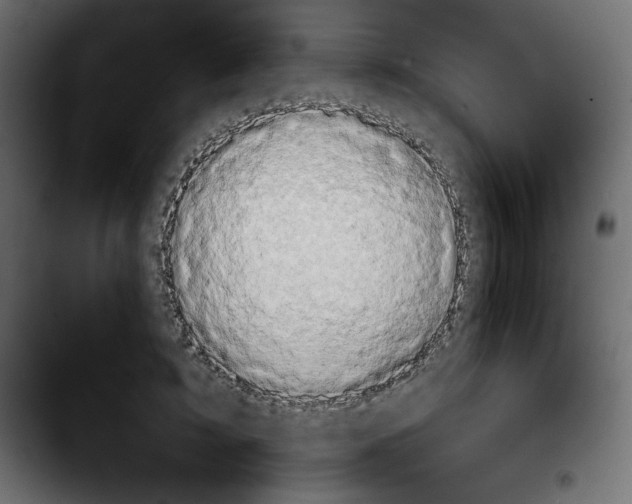 X0000103910595200810311434