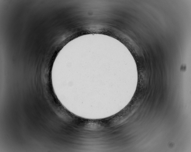 X0000103910596200810311434