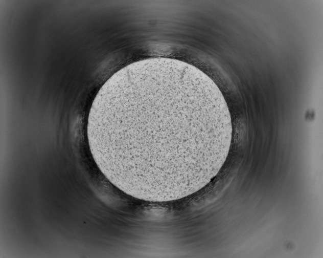 X0000103910598200810311434