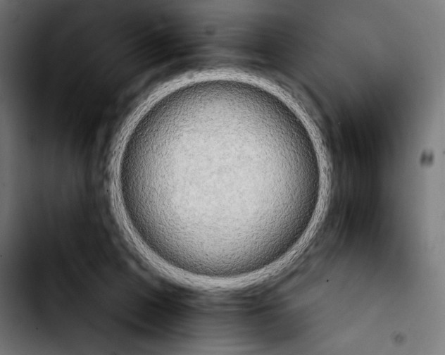 X0000103910599200810311434
