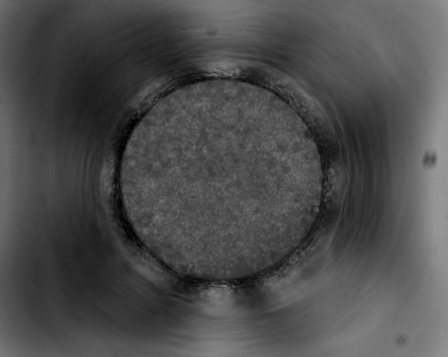 X0000103910600200810311434