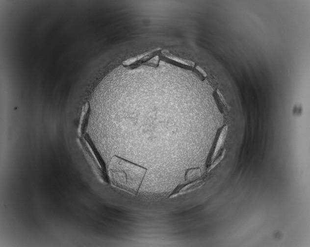 X0000103910601200810311434