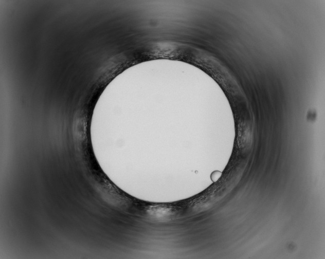X0000103910602200810311434