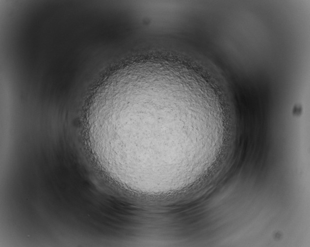 X0000103910603200810311434