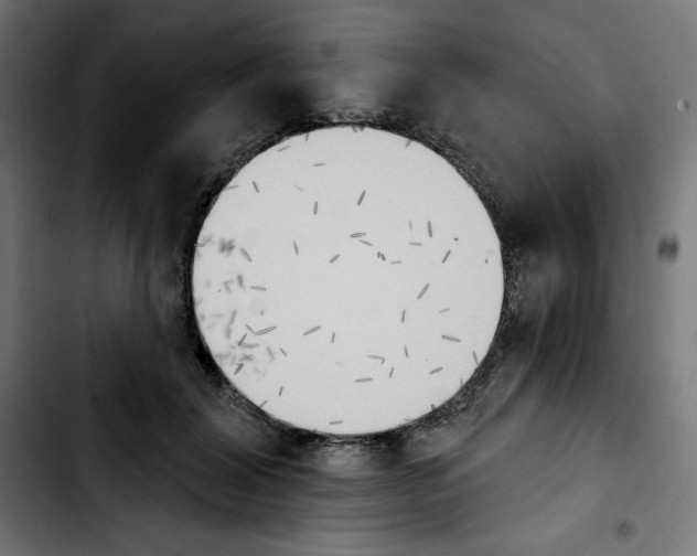X0000103910604200810311434