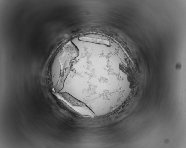 X0000103910605200810311434