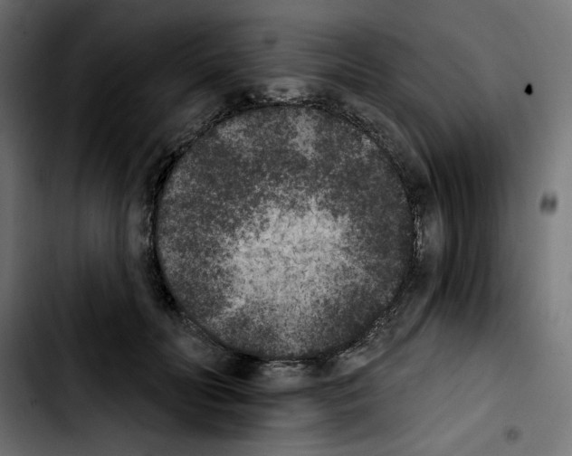 X0000103910606200810311434