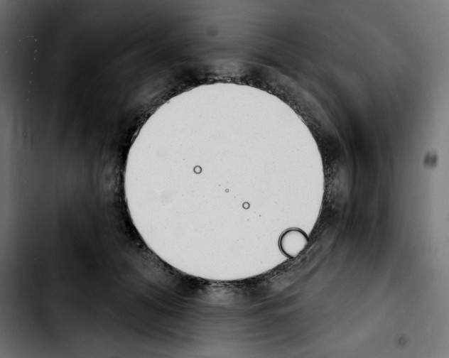X0000103910608200810311434