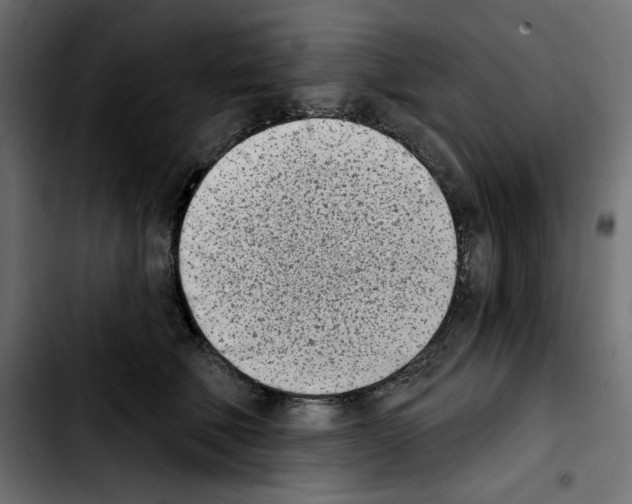 X0000103910610200810311434
