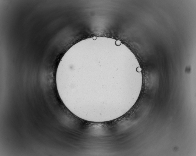 X0000103910611200810311434