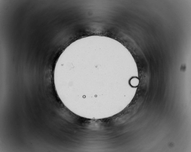 X0000103910612200810311434