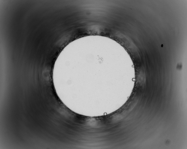 X0000103910616200810311433