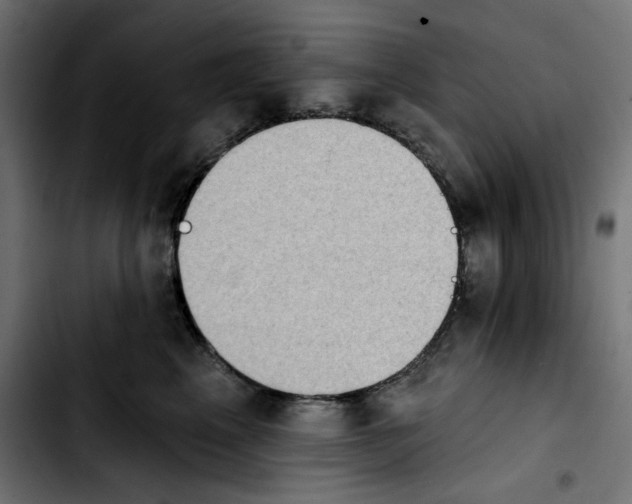 X0000103910617200810311433