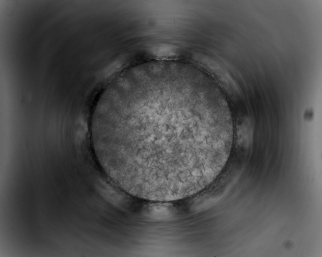 X0000103910618200810311433