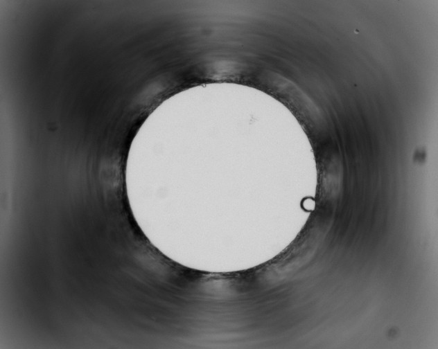 X0000103910620200810311433