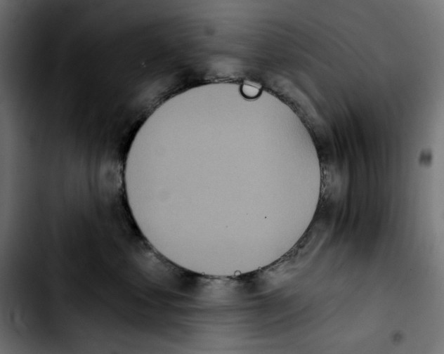 X0000103910621200810311433