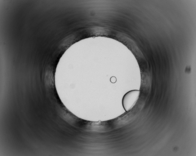 X0000103910622200810311433
