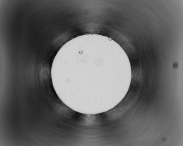 X0000103910623200810311433